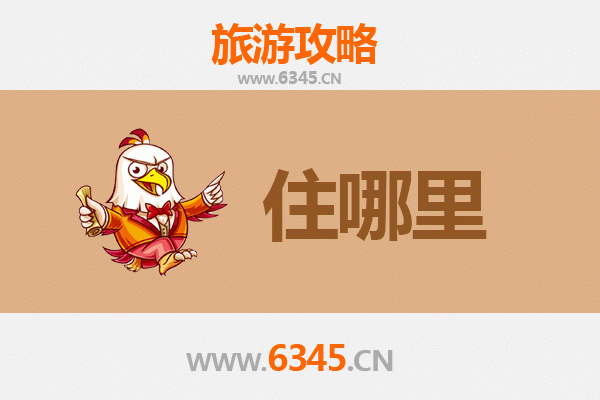 宁波鄞州旅游民宿全攻略：沉浸式体验江南水乡与现代都市的完美融合